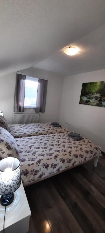 Apartman Karolina Rudanovac 外观 照片