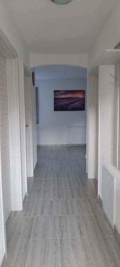 Apartman Karolina Rudanovac 外观 照片